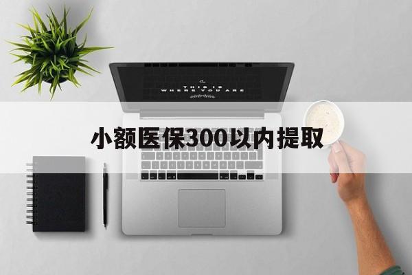 陕西最新小额医保300以内提取方法分析(最方便真实的陕西小额医保300以内提取中介方法)